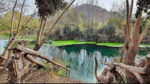 Naturaleza y aventura familiar a 40 minutos de Santiago: Descubre los encantos del Parque El Trapiche