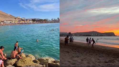 Estas son las playas aptas para visitar en Arica y Parinacota: La primera 'es una de las preferidas por los ciudadanos'