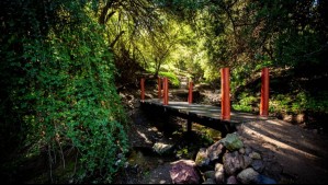Vistas panorámicas, senderos de baja dificultad y más: Conoce todos los atractivos de este nuevo parque en Santiago