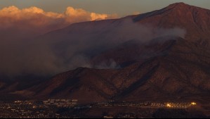 Así puedes entrar al voluntariado de restauración del Parque Cordillera: Por incendio que consumió más de 1000 hectáreas