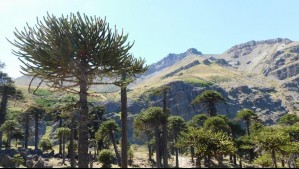 Rachas de hasta 60 km/h azotarán a tres regiones este miércoles: Anuncian la llegada de una corriente en chorro