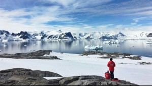'Cambios abruptos': Advierten que la Antártica se calienta hasta tres veces más rápido que el promedio de la Tierra