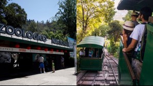 Anuncian reapertura del Zoo Nacional del Parque Metropolitano: 'Estamos afinando los detalles'