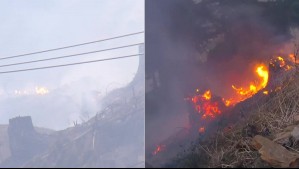 'No es un panorama alentador': 'Están todas las probabilidades' para que continúen los incendios en esta comuna