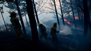 Continúan los incendios forestales en el centro-sur: Aquí se concentrará 'la temperatura más alta' de este miércoles