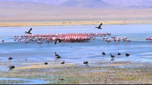 Dos parques nacionales permanecerán cerrados hasta este domingo: La zona está bajo alerta preventiva