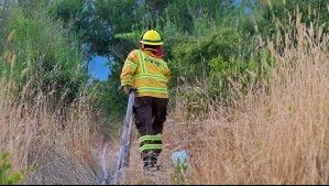 'Mejoran las condiciones para el control de incendios': Jaime Leyton prevé un ligero descenso de las temperaturas
