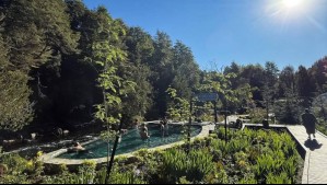 El primer jardín botánico termal del mundo está en Chile: Este parque único se ubica a 30 minutos del centro de Pucón