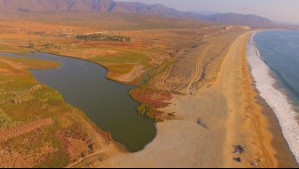 Laguna Adelaida se posiciona como el primer humedal urbano en la comuna de Coquimbo: Son 147 a nivel nacional