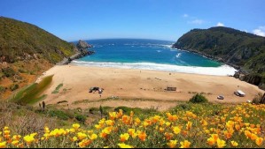 Naturaleza y desconexión en Laguna Verde: Conoce esta playa de aguas turquesas ubicada a una hora de Valparaíso