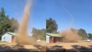 'Apareció el demonio de Tasmania': Captan en video un impresionante diablo de polvo en esta comuna del centro-sur