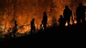 'Mayor disponibilidad de biomasa': Estos factores propiciaron los arrasadores incendios en Ñuble, Biobío y La Araucanía