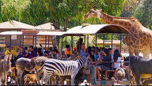 Parque Safari Rancagua