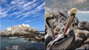 Playa Montemar: Conoce todo sobre esta zona protegida en la que se prohíbe la música fuerte