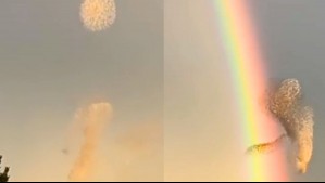 'Ha sido brutal': Captan en video la asombrosa 'coreografía' de una bandada de aves frente a un arcoíris