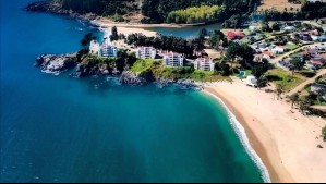 Instagram @pingueral.cl