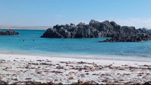 Estas son las 10 mejores playas de Chile, según la inteligencia artificial: Todas resaltan por su belleza natural