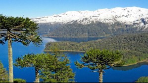 Entre bosques y lagunas: Conoce los panoramas que puedes hacer en el Parque Nacional Conguillío