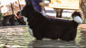 'La atmósfera sigue estable': Estos serán los días más calurosos en Santiago la próxima semana