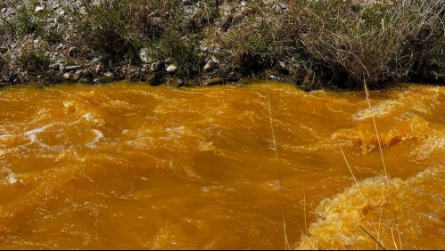 Extraña coloración amarillenta persiste en el río Elqui: Esta es 'la hipótesis que tiene más sustento' sobre su origen