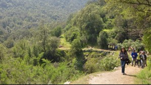 Conaf Parque La Campana