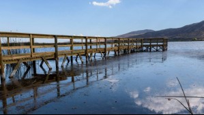 Santuario de la Naturaleza Laguna de Batuco