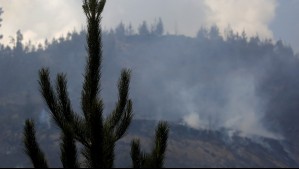 Atención veraneantes: Conaf llama a seguir estas recomendaciones ante posibles incendios forestales durante el retorno