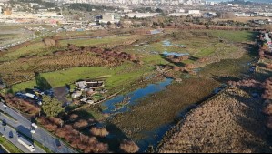 Recorre la ruta patrimonial de los humedales urbanos del Biobío: Conoce los nueve hitos