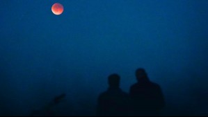 Victoria Prymak | Unsplash