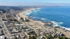 De delfines a ballenas: Estas imágenes capturan parte de la fauna marina que habita en costas del litoral central