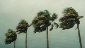 Rachas de 60 km/h: Viento moderado afectará sectores de todas estas regiones por las altas presiones