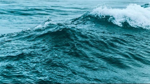 Oleg Moroz | Unsplash