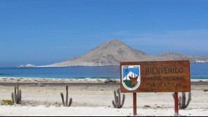 Desde trekking hasta avistamiento de especies marinas: Todo lo que puedes hacer en el Parque Nacional Pan de Azúcar