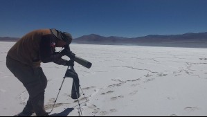 Seis nuevas áreas a la red de salares de Antofagasta: se suman 184 mil hectáreas de espacios protegidos