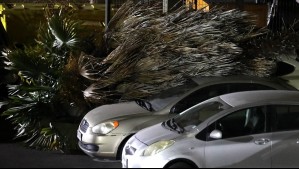 Tornado en el sur: Meteorología avisa de nubes convectivas con características tornádicas