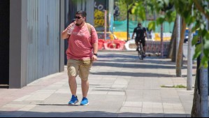 Ola de calor otoñal podría concretarse este martes en Santiago: A esta hora se producirá la máxima en la capital