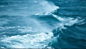 Verstappen Photography | Unsplash