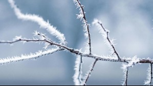 Es oficial: Heladas con temperaturas de hasta -2°C continuarán en estas comunas durante el miércoles