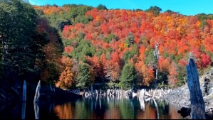 Instagram @paradorturistico_melipeuco