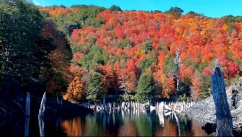 Melipeuco en otoño: Cinco lugares para visitar en 'la capital del trekking' esta temporada
