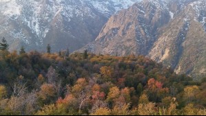 Instagram @altohuemul