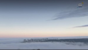 'Fenómeno bastante curioso en Viña del Mar': Densa niebla cubre gran parte de la costa este sábado