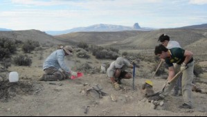 'El primer braquiosáurido del Jurásico en Sudamérica': Hallan fósiles de una nueva especie de dinosaurio