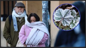 Hasta 1°C en Valparaíso y Santiago: Meteorología pronostica heladas para estos sectores durante dos días consecutivos
