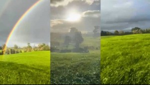 Registran en video un 'paisaje maravilloso' en el sur de Chile: 'Arcoíris, cielo gris, sol y el canto de los queltehues'
