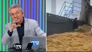 'Colchones gigantescos de sargazo' invaden las playas de este país: ¿Qué consecuencias genera esta macroalga?