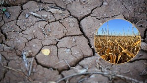 Un 'Súper El Niño' provocó 'el peor desastre medioambiental': ¿Podría ocurrir algo similar este año?