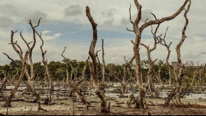 El Niño alcanzaría los 3°C en el Pacífico ecuatorial este 2026: ¿En qué se diferenciaría del evento extremo de 1877?