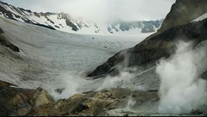 'Pensábamos que no había vida': Descubren nueva especie capaz de sobrevivir a casi 100°C rodeada del frío antártico