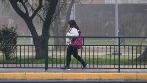 'Ingresarían nieblas al poniente del Gran Santiago': Pronóstico de Alejandro Sepúlveda hasta el domingo 24 de mayo
